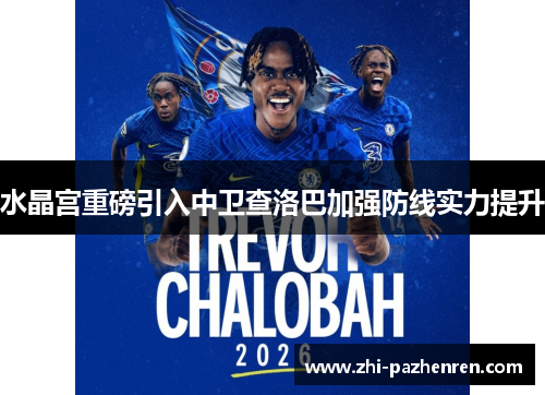 水晶宫重磅引入中卫查洛巴加强防线实力提升 水晶宫重磅引入中卫查洛巴加强防线实力提升