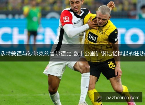 多特蒙德与沙尔克的鲁尔德比 数十公里矿钢记忆撑起的狂热 多特蒙德与沙尔克的鲁尔德比 数十公里矿钢记忆撑起的狂热